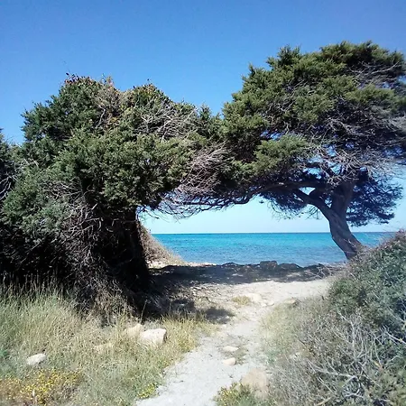 Appartamento Agrustos Beach *